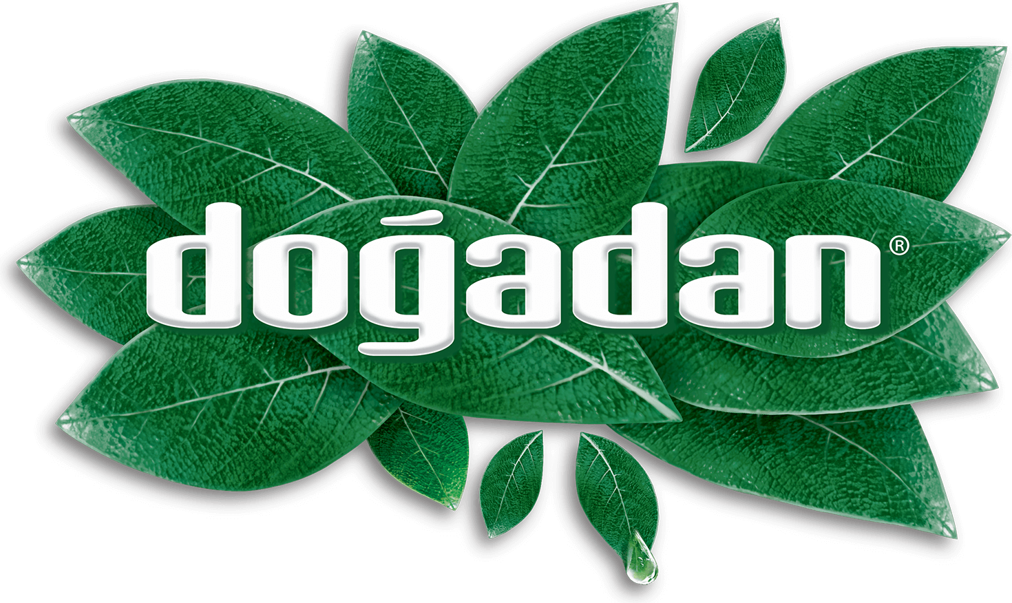 Doğadan